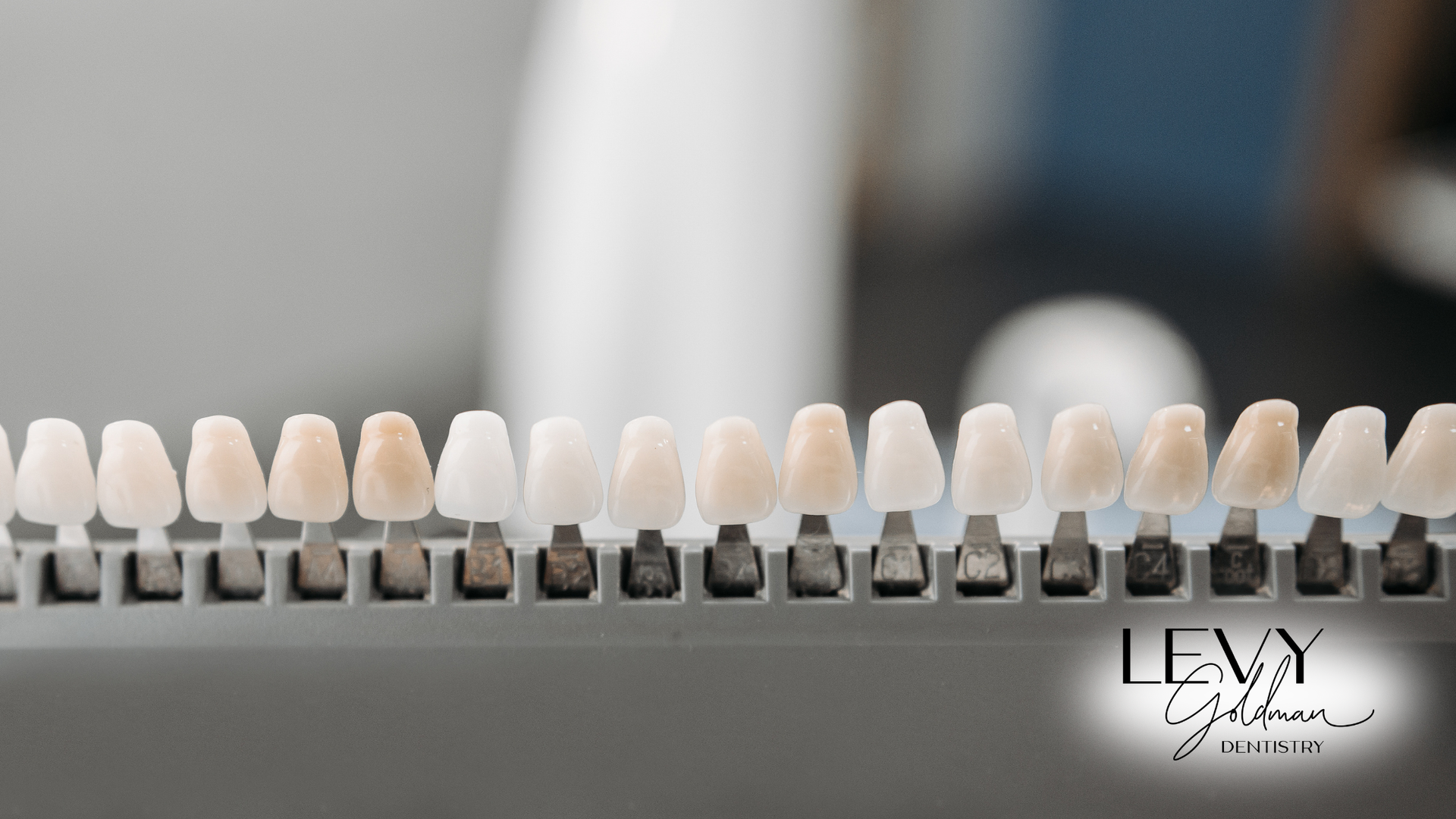 A row of teeth are lined up in a row