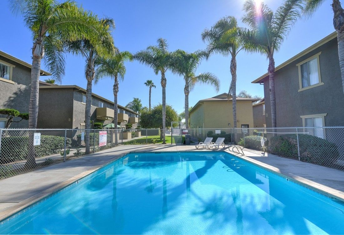 a large swimming pool surrounded by palm trees and buildings