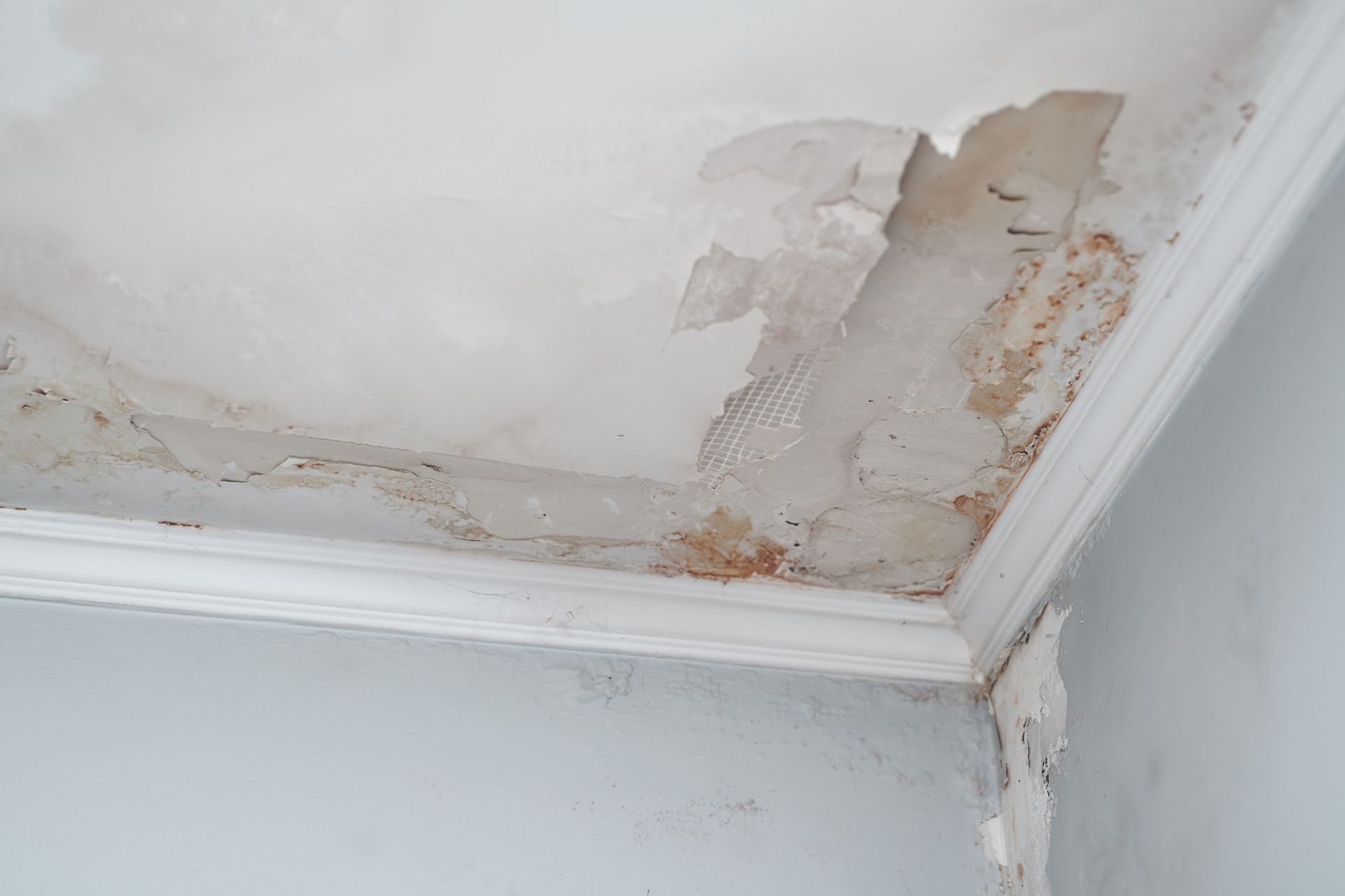 Broken Ceiling — Seattle, WA — Stoneway Hardware
