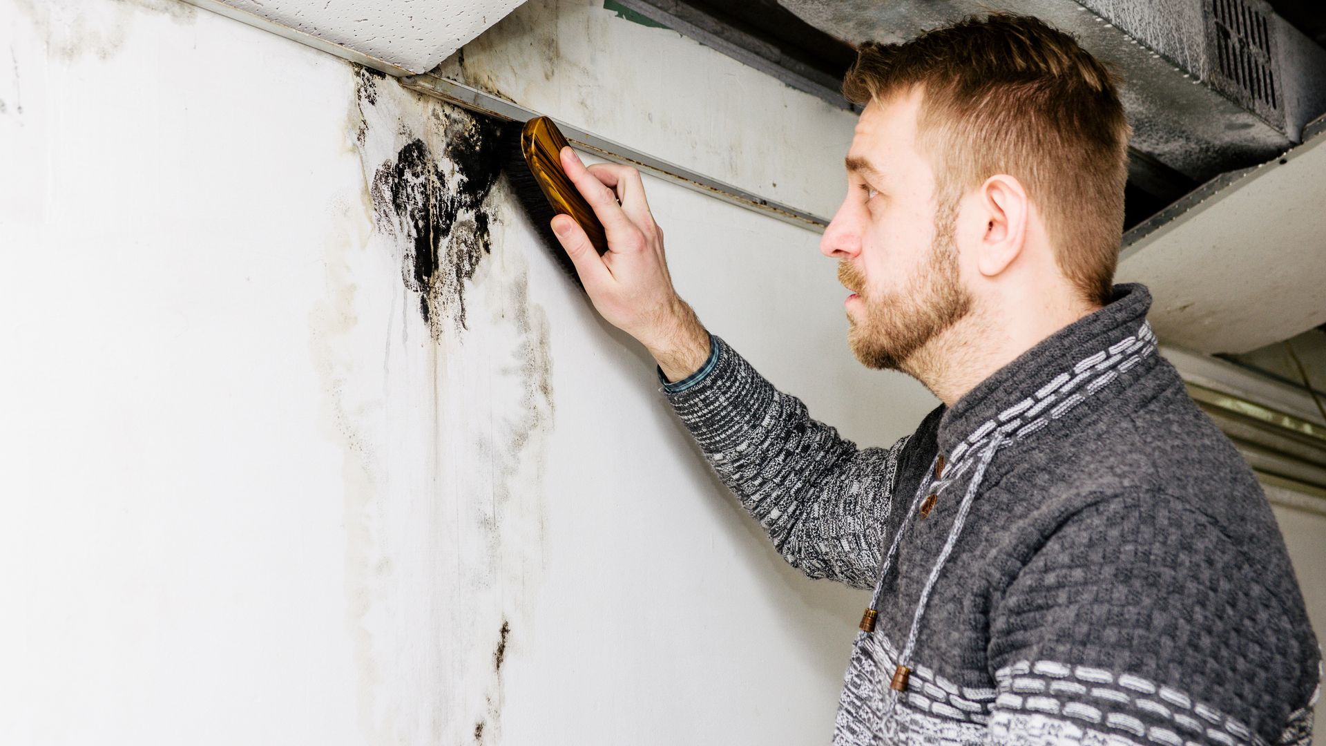 Fixing the Wall Stains — Seattle, WA — Stoneway Hardware