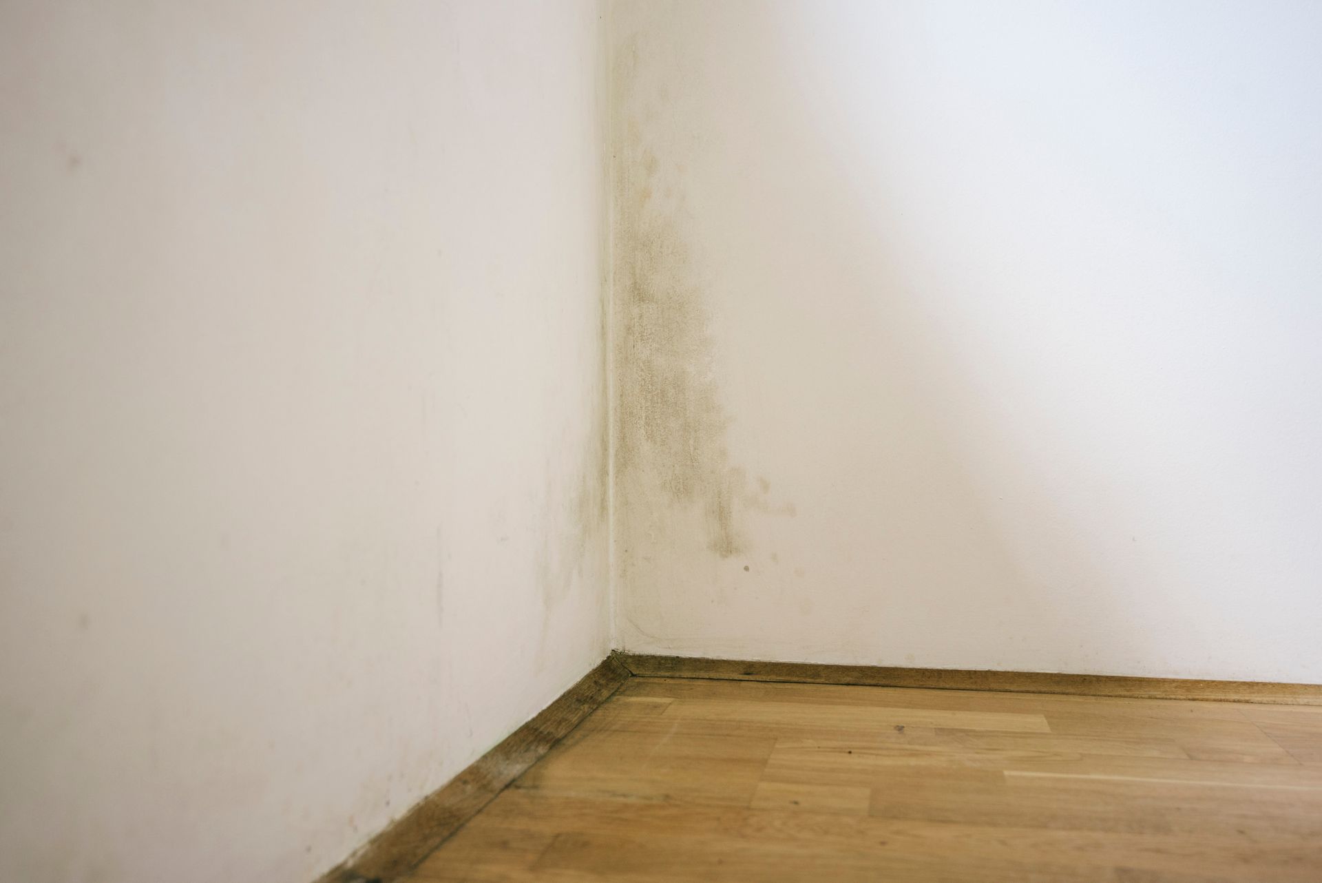 Brown Paint Stain — Seattle, WA — Stoneway Hardware