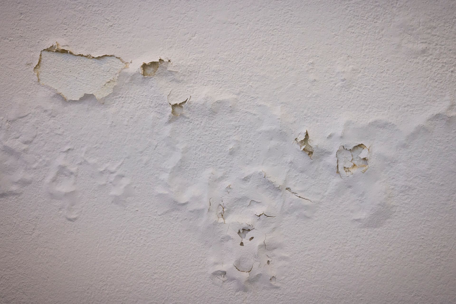 Dirty Stain — Seattle, WA — Stoneway Hardware