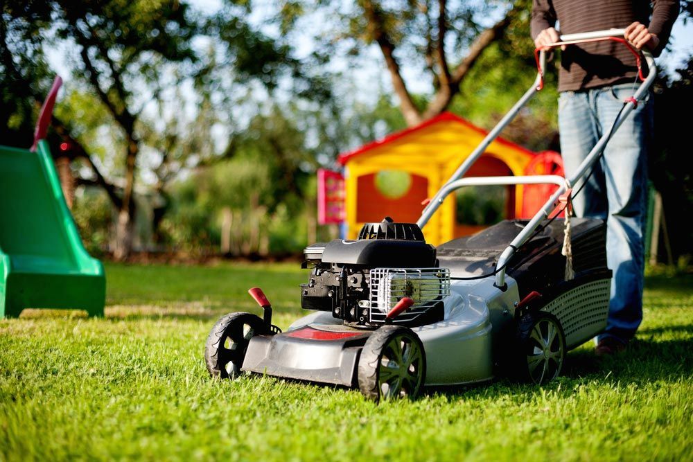 Professional Gardener With Lawn Mower Providing Expert Lawn Care Services — Lawn Mowing Services in Eaglehawk, VIC