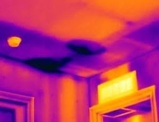 A Thermal Camera Shows a Temperature — Dowds Pipe and Cable Locating in Vincentia, NSW