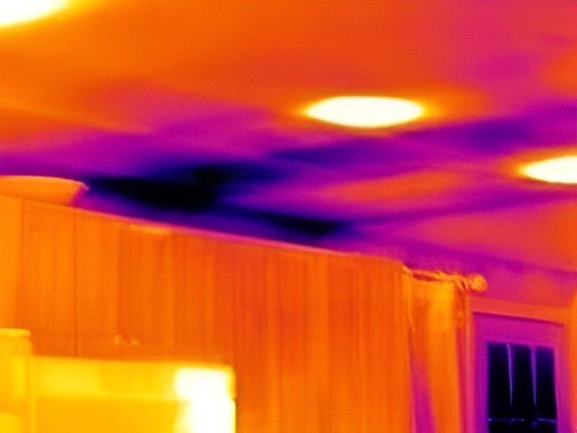 A Thermal Image of a Room With a Fan on the Ceiling — Dowds Pipe and Cable Locating in Vincentia, NSW