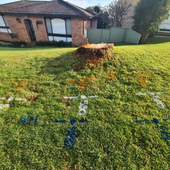 A Tree Stump in the Middle of a Lush Green Field in Front of a House — Dowds Pipe and Cable Locating in Vincentia, NSW