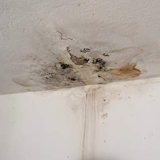 A ceiling with water damage — Dowds Pipe and Cable Locating in Farmborough Heights, NSW