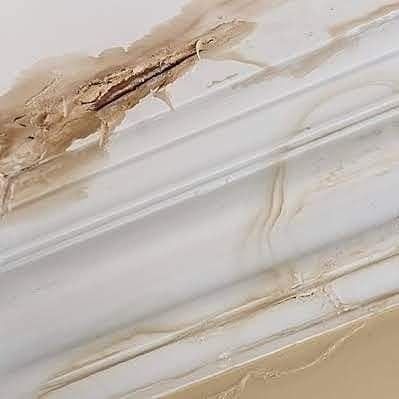 Water damage on a ceiling — Dowds Pipe and Cable Locating in Farmborough Heights, NSW
