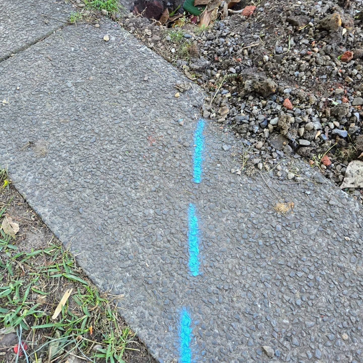 A path has blue lines marked across it — Dowds Pipe and Cable Locating in Farmborough Heights, NSW