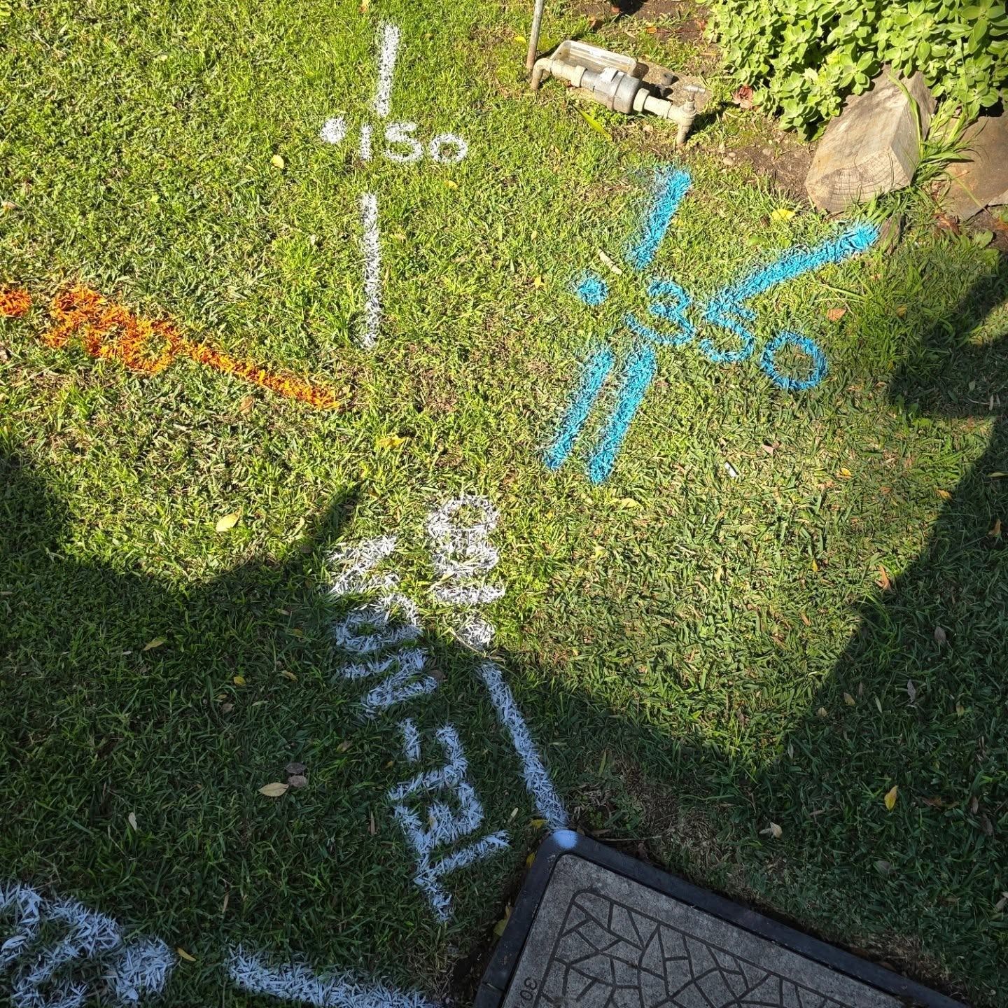 Grass is marked with blue and white lines — Dowds Pipe and Cable Locating in Farmborough Heights, NSW