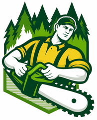 Vista Hermosa Tree Service