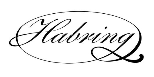Logo MeisterSinger