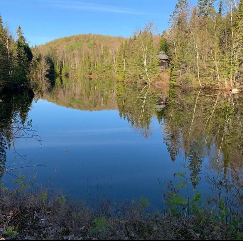 A large body of water surrounded by trees on a sunny day.