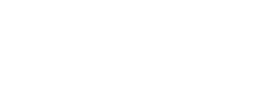 logo footer