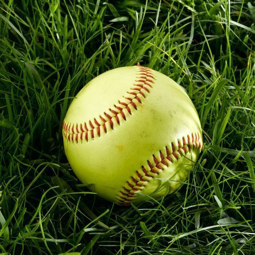 women's softball
