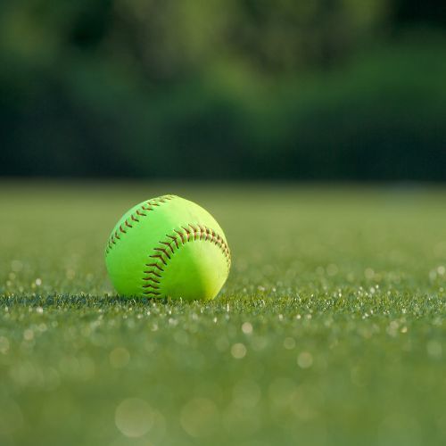 men's softball