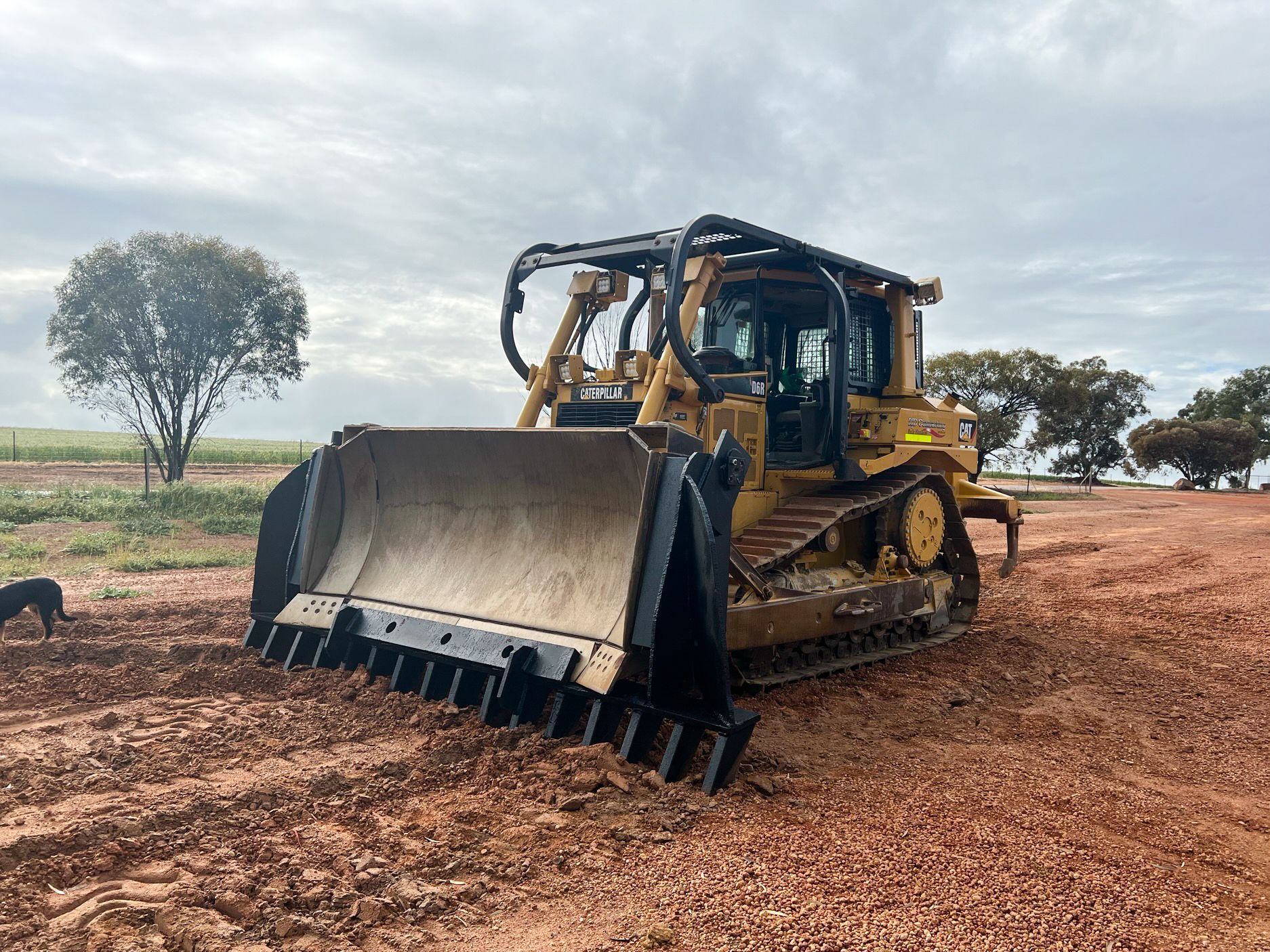 CAT D6R dozer