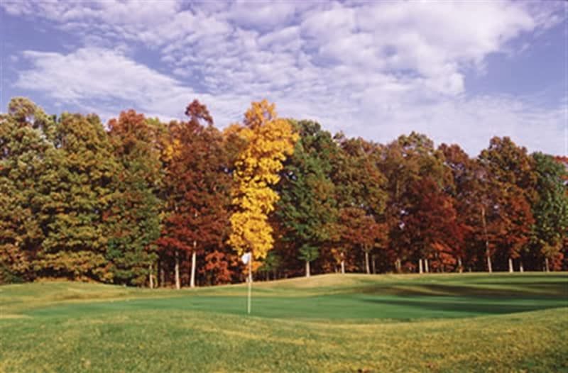 A green golf course with trees in the background