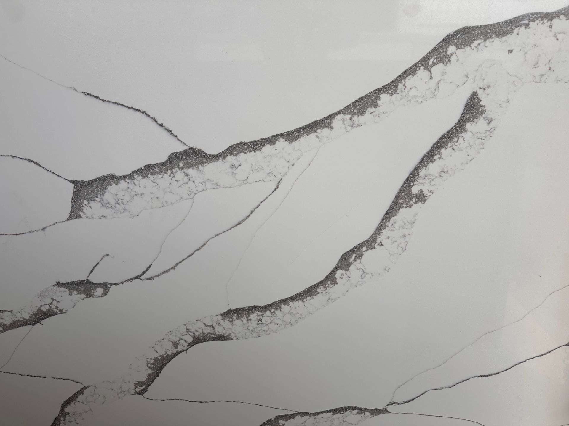 A black and white drawing of a tree branch on a white surface.