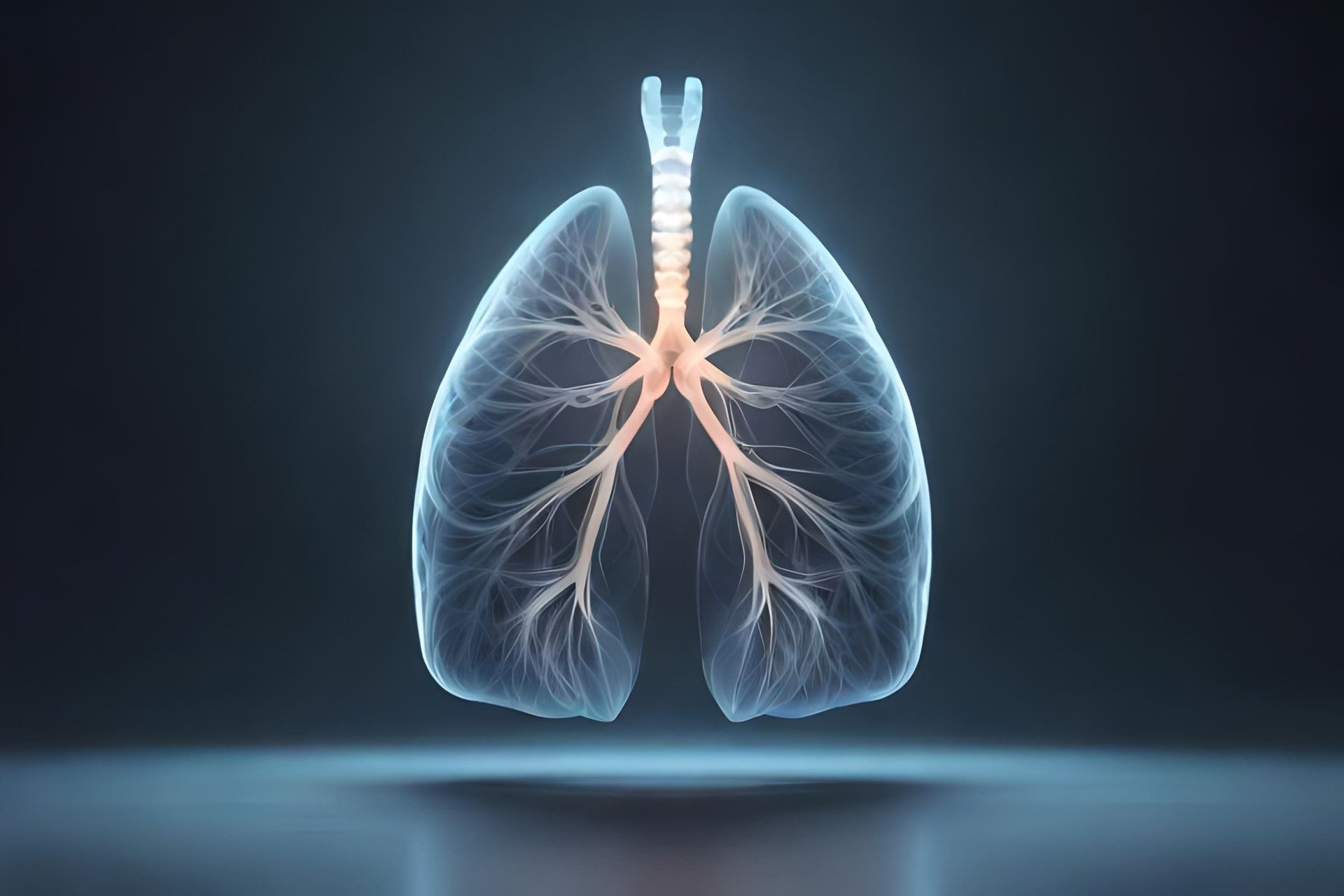 Ilustração digital dos pulmões representando avaliação pulmonar