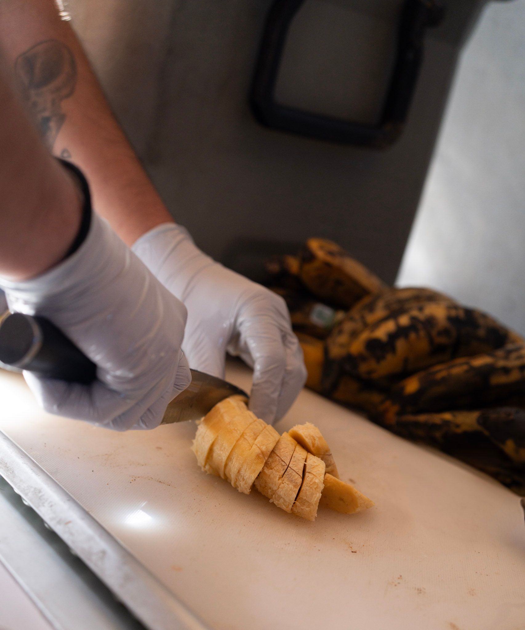 Person wearing gloves slicing a yellow food item on a white cutting board.