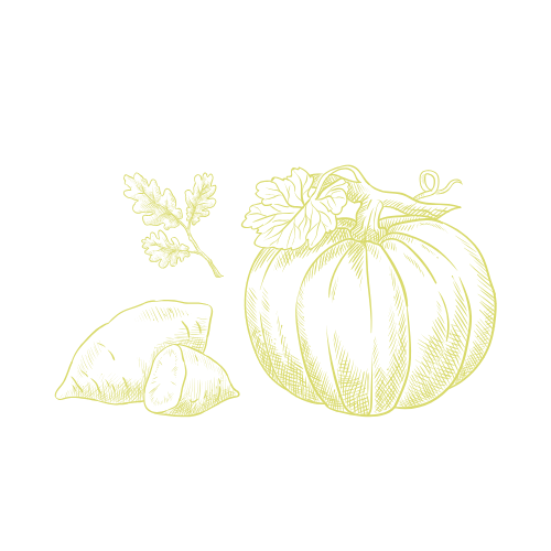 Line drawing of a pumpkin, two sweet potatoes, and a sprig of leaves.