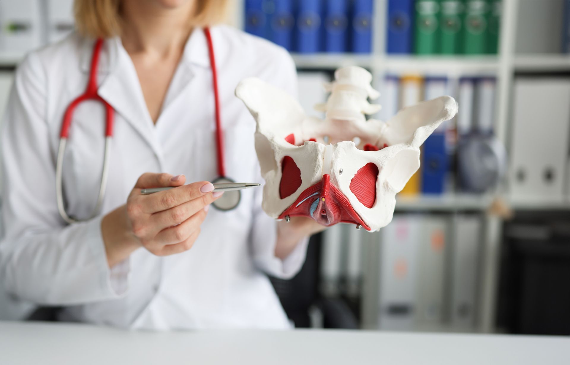 Doctor holding a tool beside a detailed white-and-red pelvis model in a medical office
