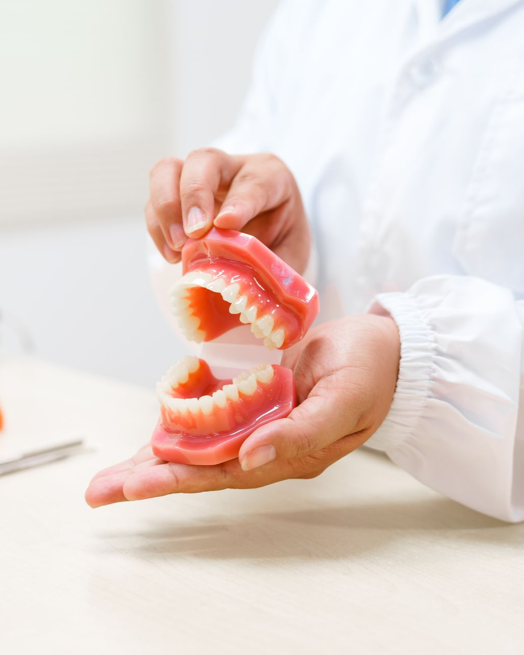 Hands holding an open pink denture model in a bright clinical setting