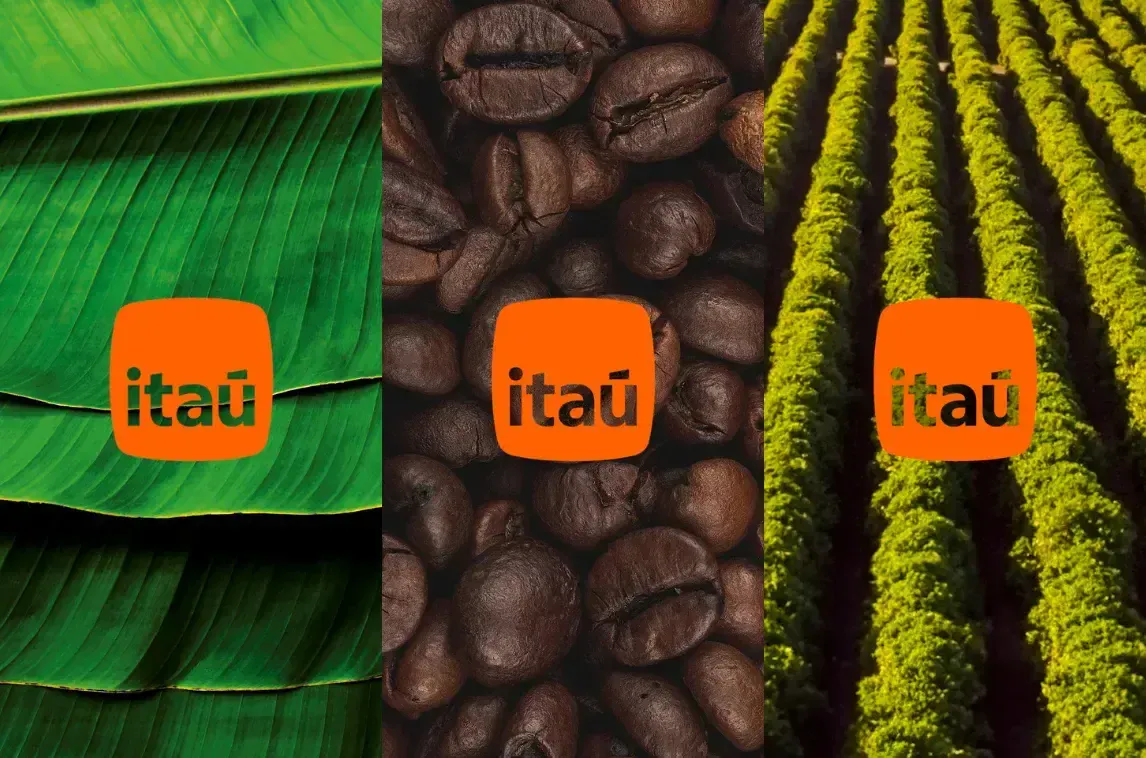 Uma foto de uma folha uma foto de grãos de café e uma foto de um campo