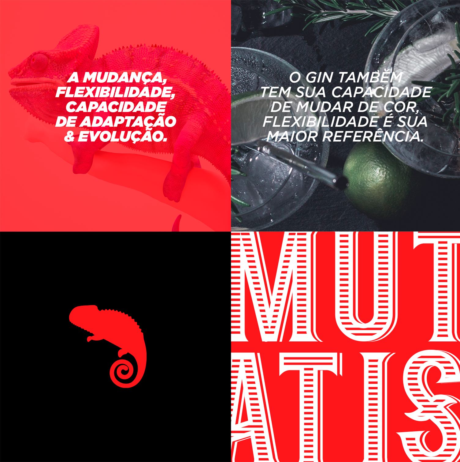 Um camaleão está em um fundo vermelho e preto