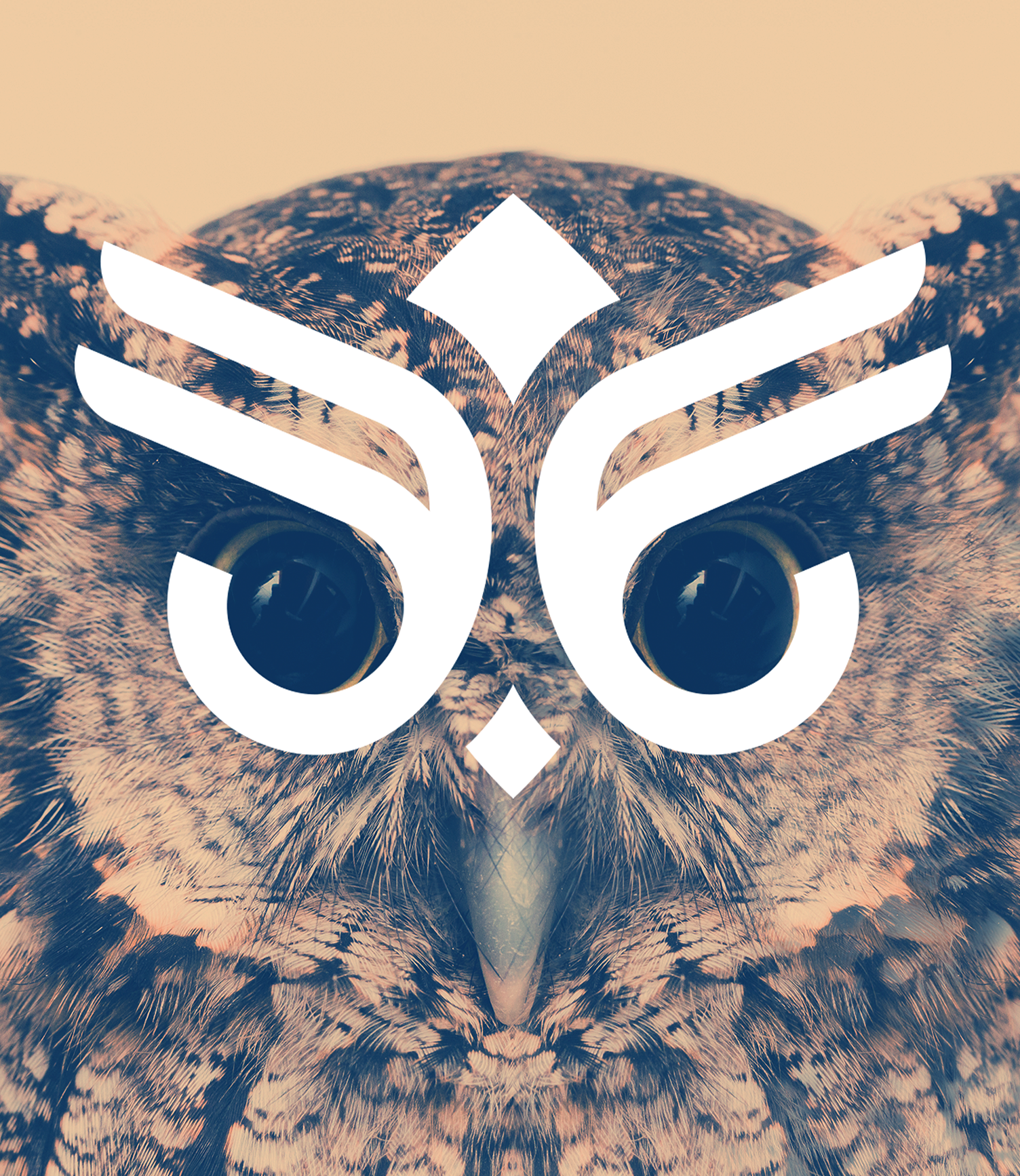 Antabi, Rangel, Sousa, & Goes A close up of an owl 's face with the letter s on it