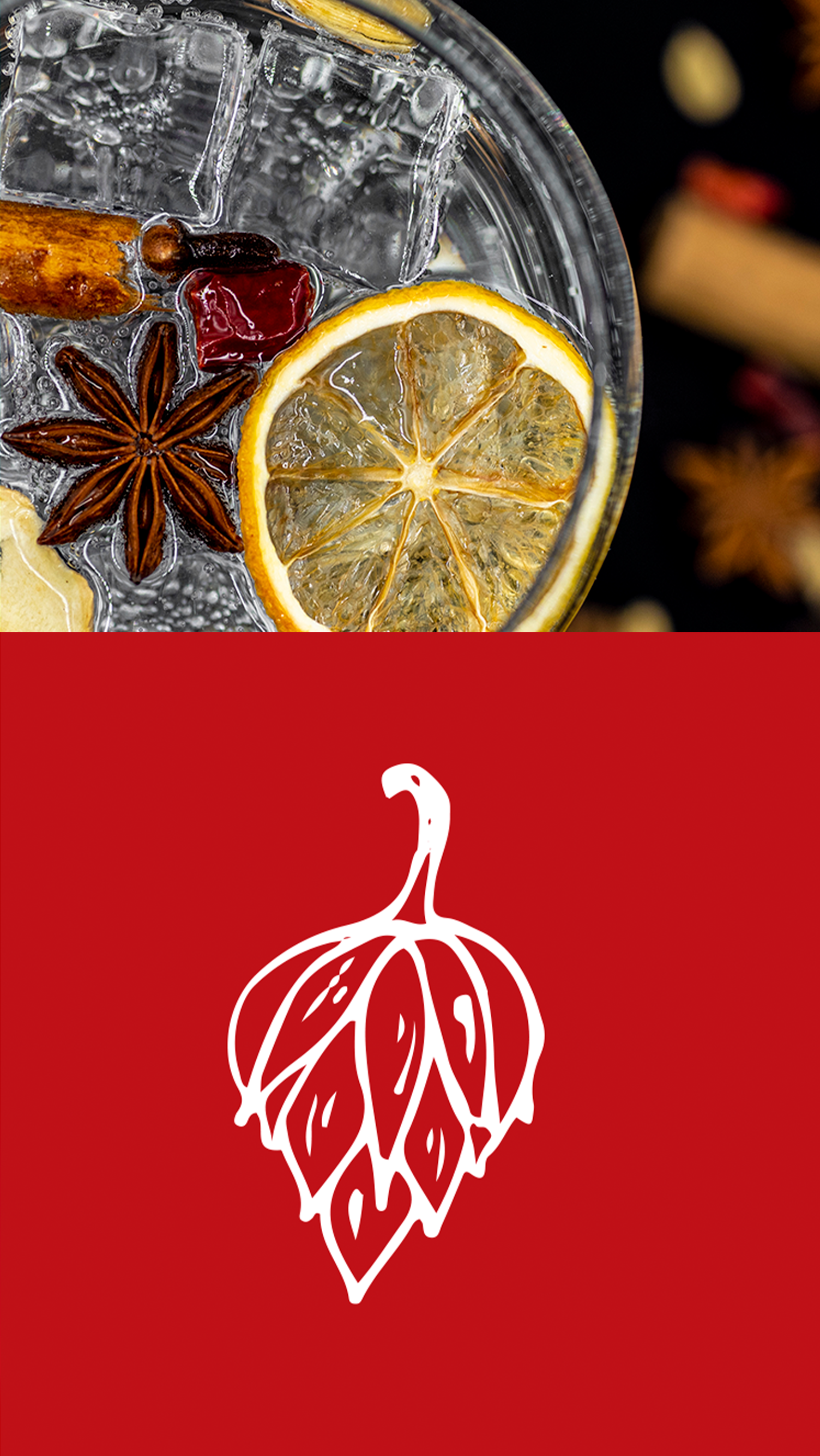 BAR DA MAFIA Um close de um copo de cerveja com gelo, rodelas de limão, anis estrelado e cranberries.