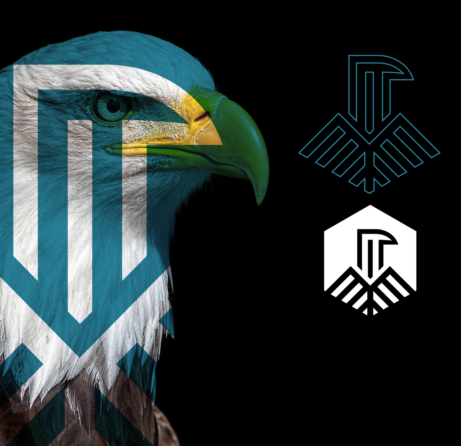 Carvalho & Neves Uma águia americana com uma flecha azul e branca na cabeça