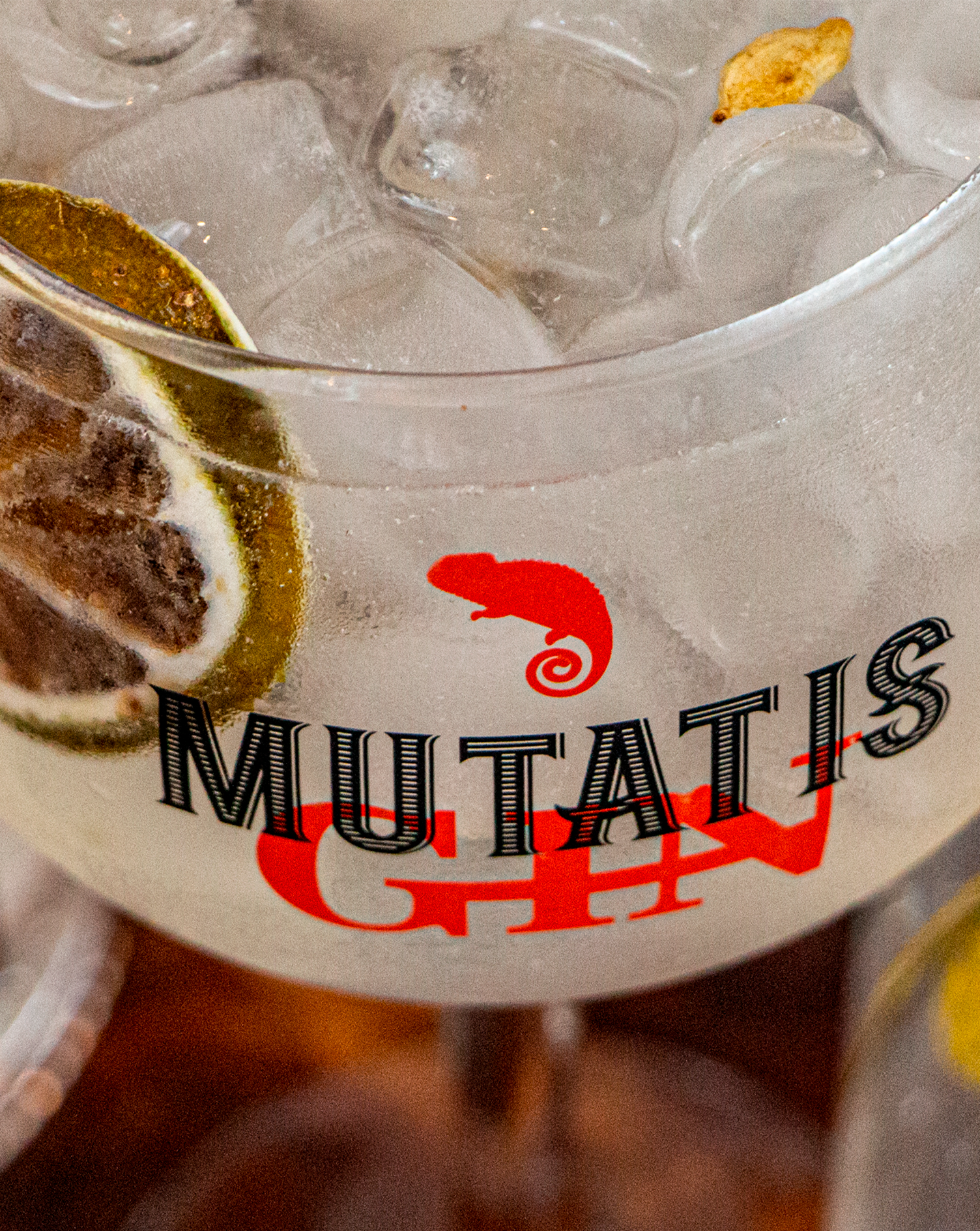 Mutatis GIN Um copo de gim mutatis com gelo e um camaleão em cima