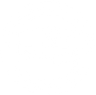 Professional Association of RV Inspectors