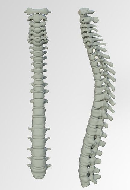 Sciatica Chiropractic