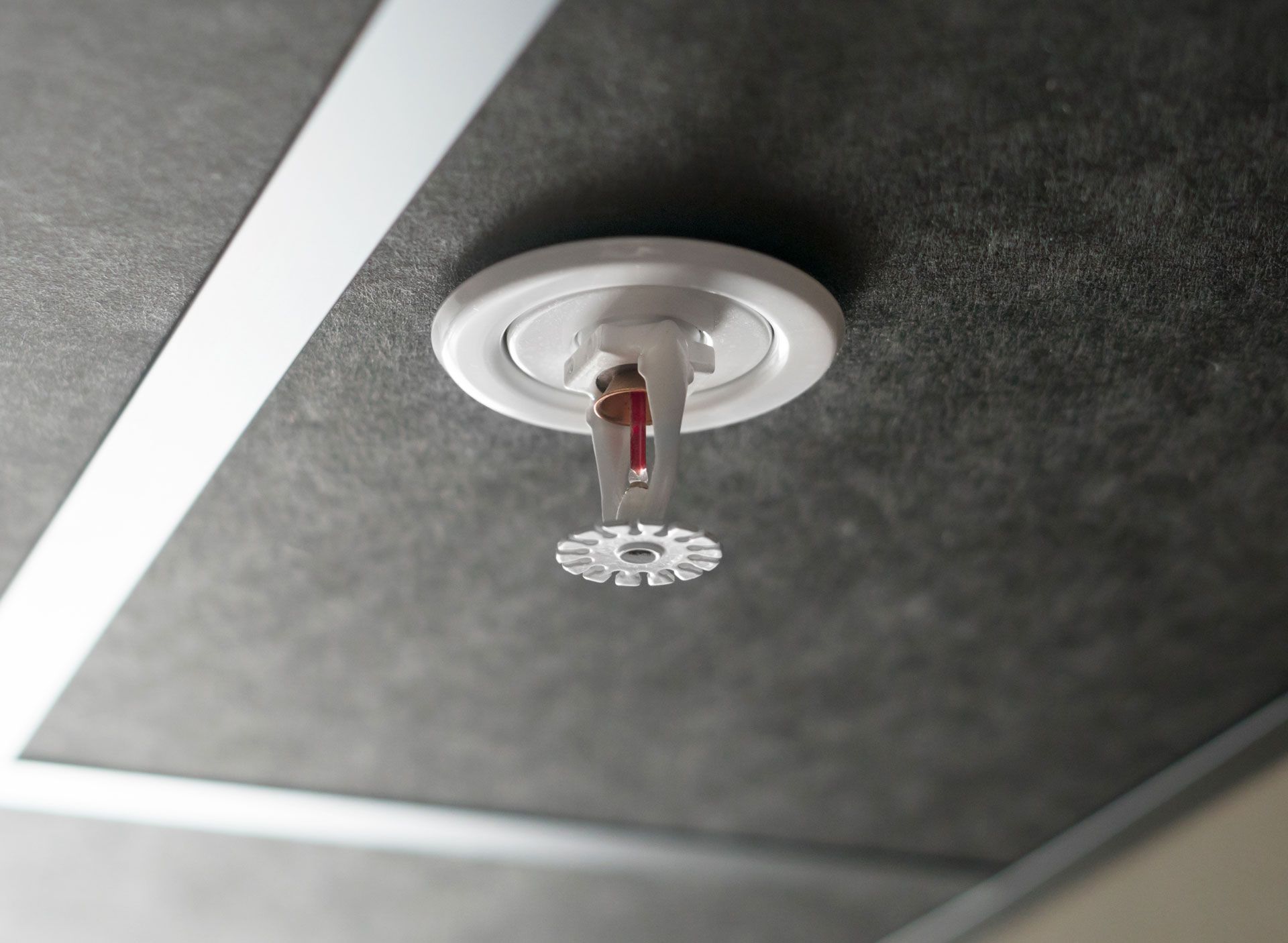 Ceiling-mounted fire sprinkler on a gray ceiling panel.