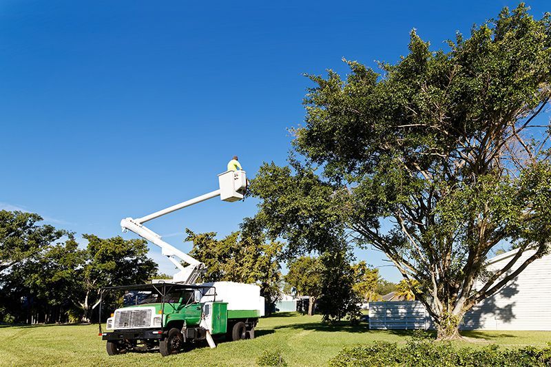 Bucket Truck