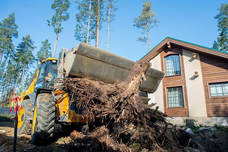 Land Clearing Using Excavator