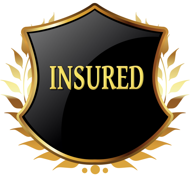 Insured Logo