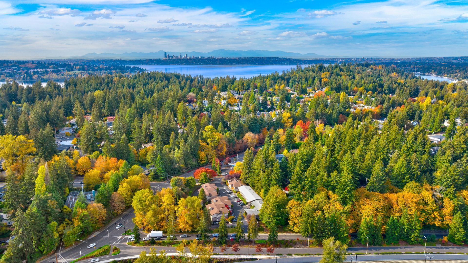 An aerial view of a residential area surrounded by trees and a lake.