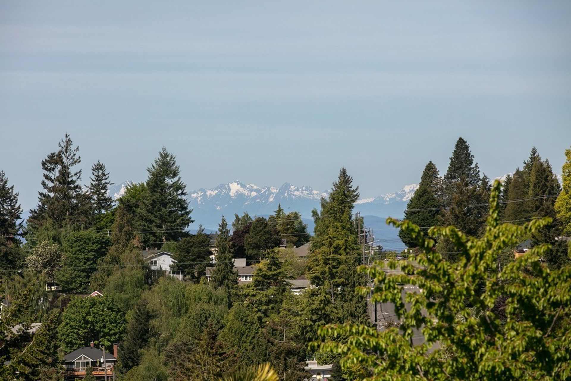 A view of a city with mountains in the background and trees in the foreground.