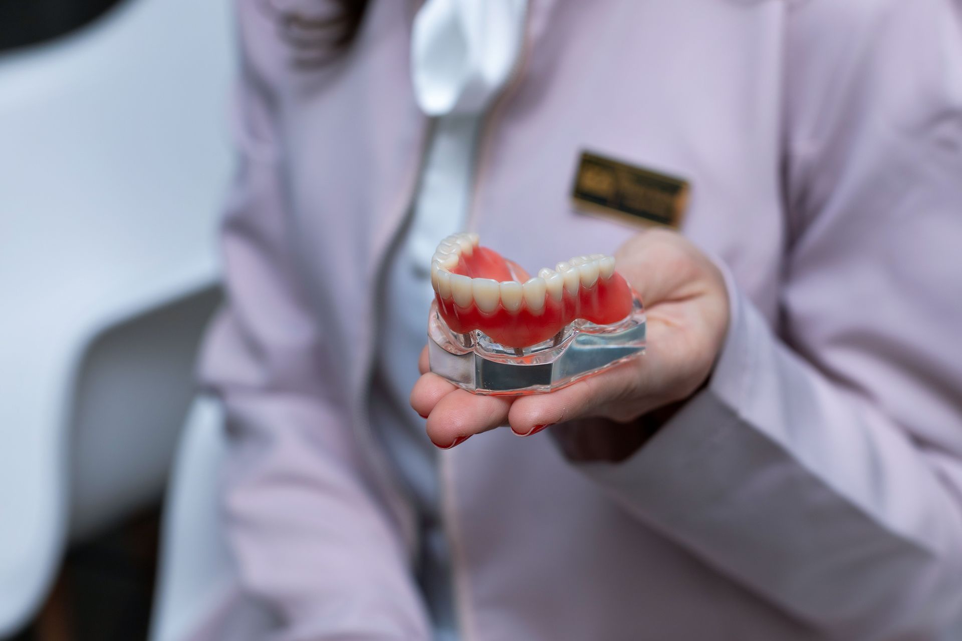 Dentist holding a dental model with red gums and white teeth