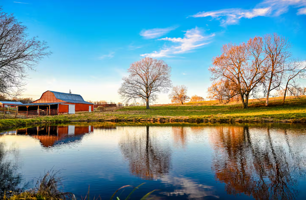 scenic pond at lorland country retreat