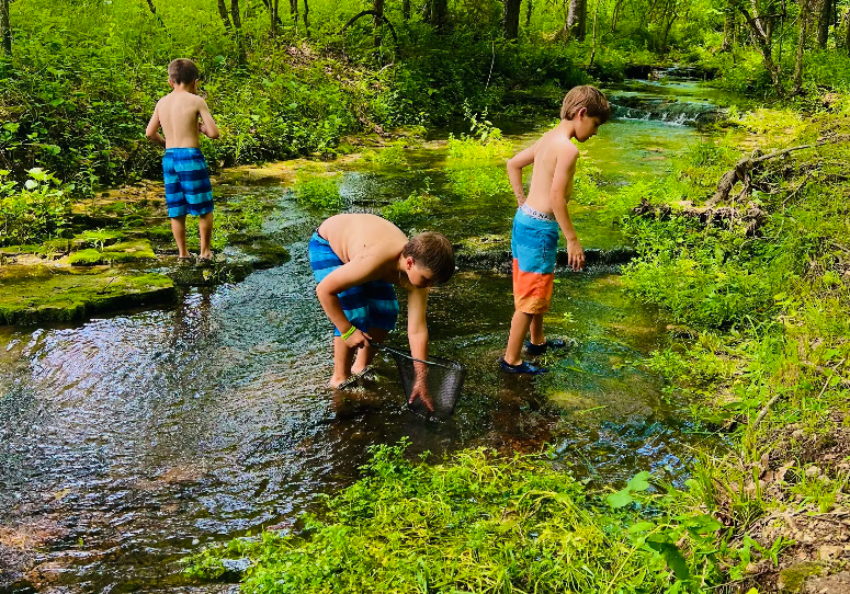 kids playing in creek