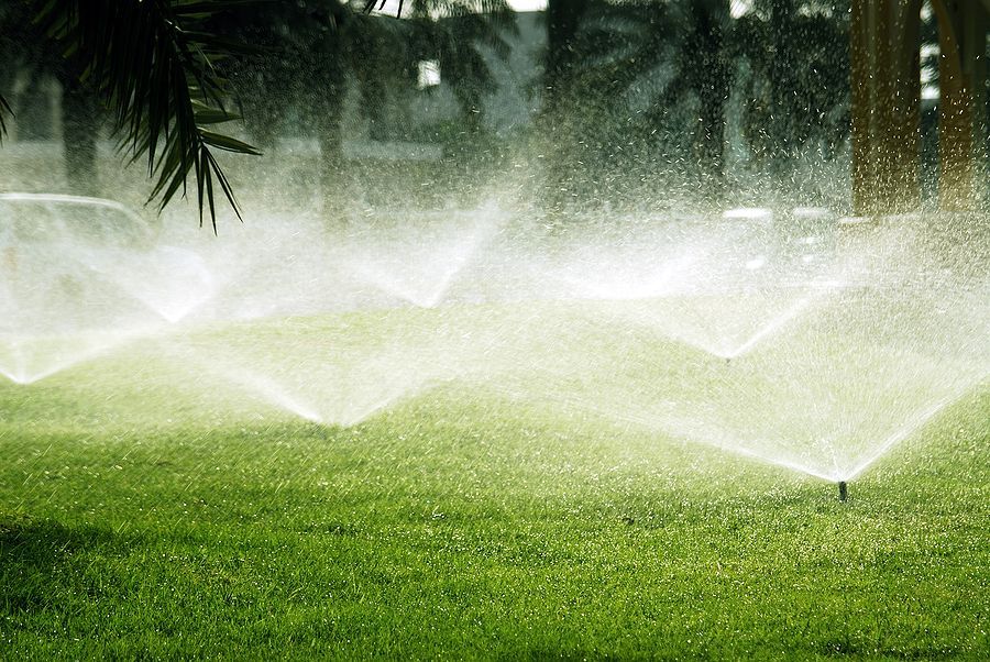 Irrigation Services Vicksburg, MS