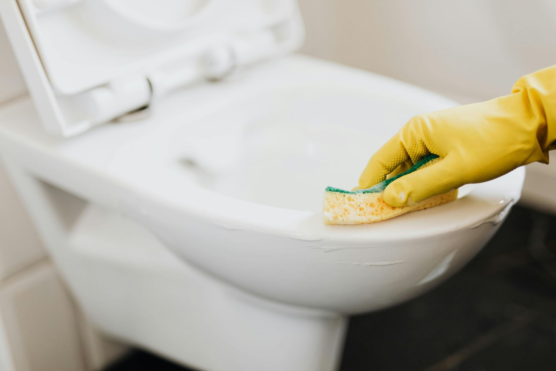 cleaning office restroom specifically toilet to disinfect it 