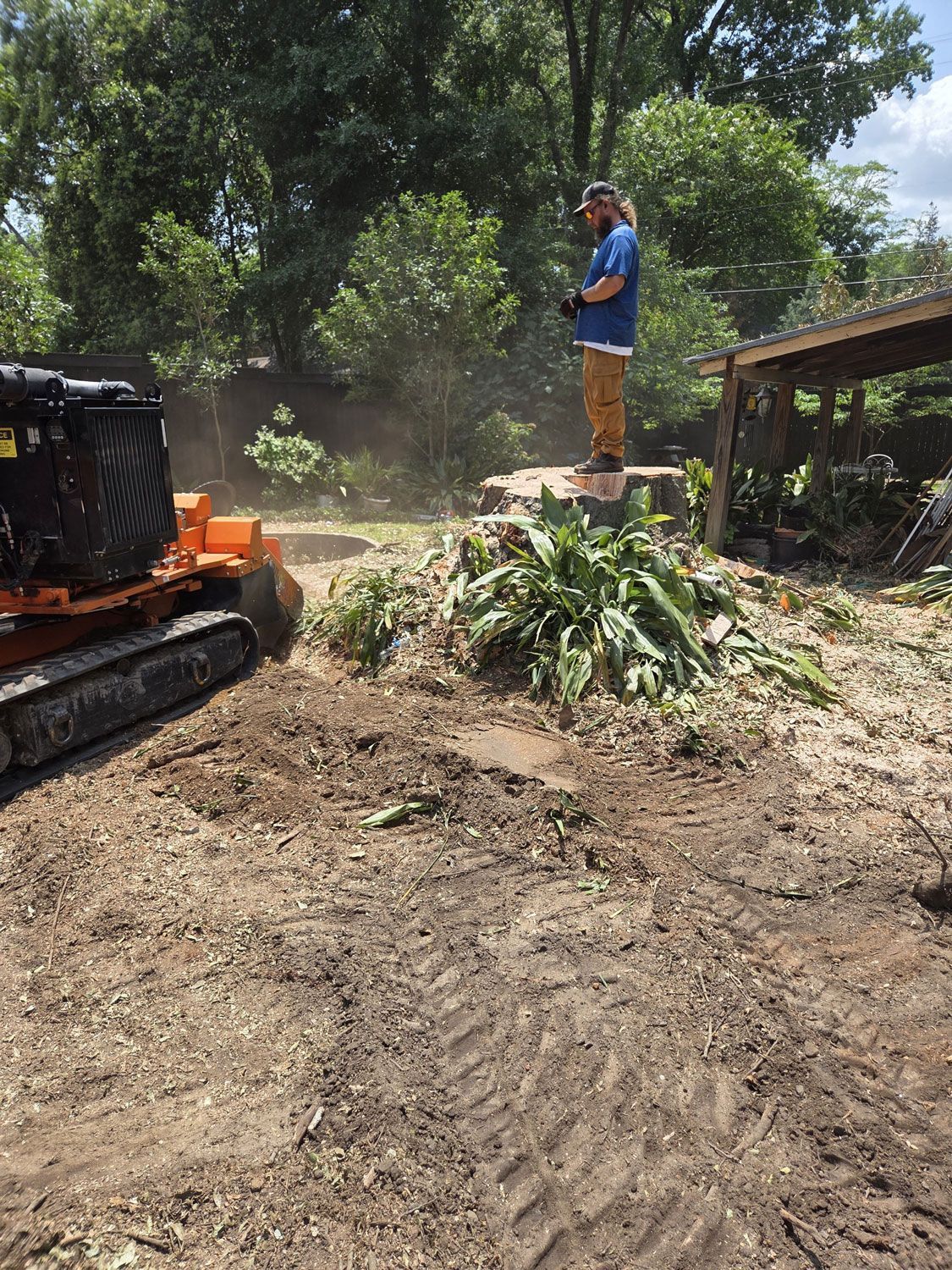 Person standing on a dirt mound beside a compact excavator clearing brush in a sunny yard Person standing on a dirt mound beside a compact excavator clearing brush in a sunny yard