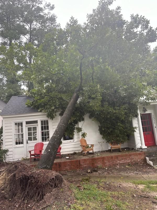 Leaning tree uprooted beside a white house with red door and brick steps.