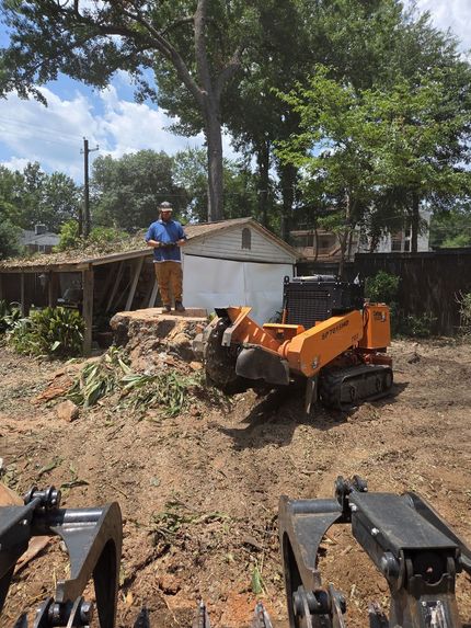 Worker operating orange compact loader in a yard with trees and a small white shed. Worker operating orange compact loader in a yard with trees and a small white shed.